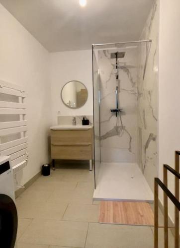 une salle de bain avec une douche avec un lavabo et un miroir dans l'établissement Appartement Lion de Flandres, à Dunkerque