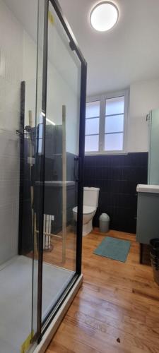 a bathroom with a shower and a toilet in a room at La maison GUILLAUME in Falaise