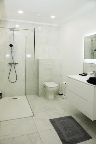 une salle de bain blanche avec douche et toilettes dans l'établissement Suite des Princes with Private Garden by La Boîte En Plus, à Chantilly