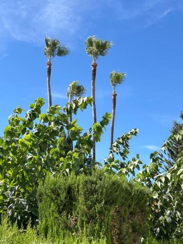 Super place Ona Campanario Calahonda