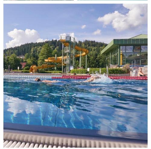 Ferienwohnung Goldfasan في لام: مسبح بزحليقة مائية في الخلف