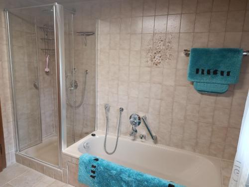 a bathroom with a shower and a tub and a sink at Ferienwohnung beim Schmied in Kienberg