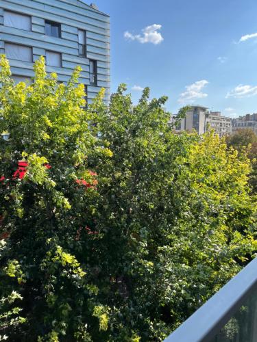 Photo de la galerie de l'établissement Studio 17, à Paris