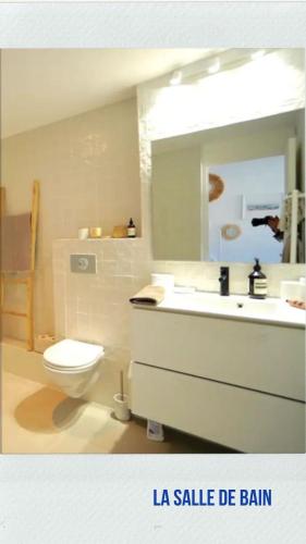 une salle de bain avec toilettes, lavabo et miroir dans l'établissement Petit nid douillet vieux port 4 personnes, à Marseille