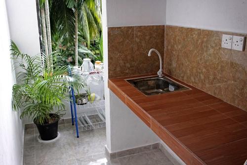 a kitchen with a sink and two potted plants at Hansa Villa in Unawatuna