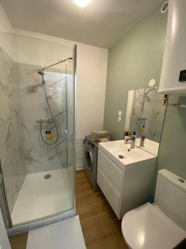 une salle de bain avec une douche, des toilettes et un lavabo dans l'établissement Appartement charmant hypercentre avec patio privé et parking, à Orléans