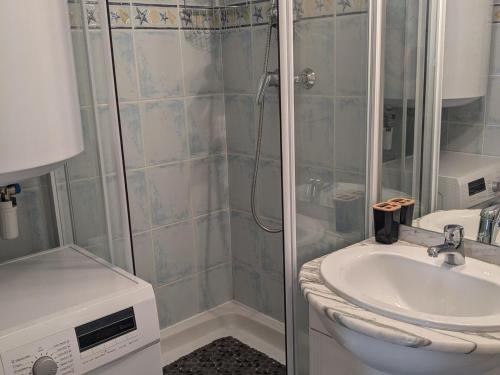 une salle de bain avec douche et lavabo dans l'établissement Appartement 5 pers. au pied des pistes avec balcon, lave-vaisselle, lave-linge - FR-1-557-133, à Les Adrets