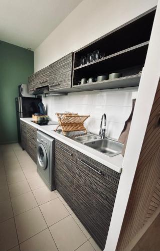 une cuisine avec un évier et une machine à laver dans l'établissement ins'temps 67, à Strasbourg