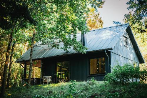 a house in the woods with a metal roof at Cocodeno-'Virš Ąžuolų' - Forest SPA - FREE jacuzzi in Paplatelė