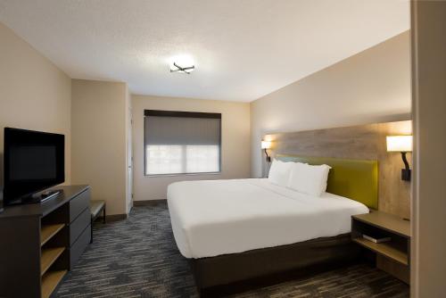 a hotel room with a large bed and a flat screen tv at Country Inn & Suites by Radisson, Marion, IL in Marion