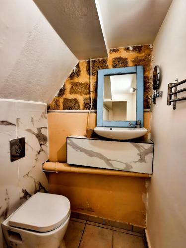 une salle de bain avec toilettes et miroir dans l'établissement Chantilly Garden, à Gouvieux