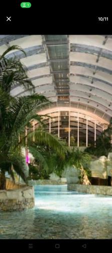 un bâtiment avec une piscine et des palmiers. dans l'établissement studio meublé tout confort 25m2, à Loudun