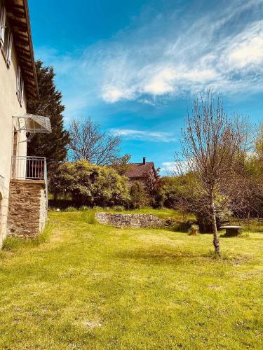 une cour avec un mur en pierre et un arbre dans l'établissement Le Moulin L'Official, à Tulle