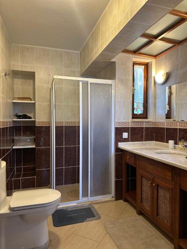 a bathroom with a shower and a toilet and a sink at Villa hira in Eski Datca