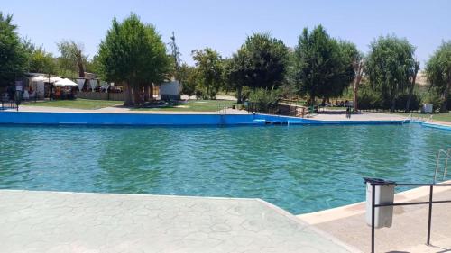 a swimming pool with green water in a park at Casa-Cueva Las Colleras in Orce