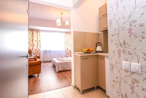 布加勒斯特豪华住宿公寓　的厨房以及带沙发床的起居室。