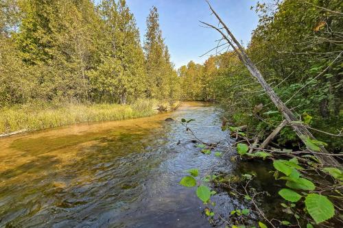 a river with trees on the side of it at Trout Lily Cabin in Beulah