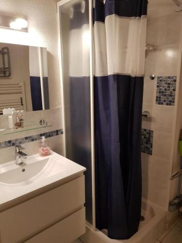une salle de bain avec douche et lavabo dans l'établissement Le quai de bosc, à Sète