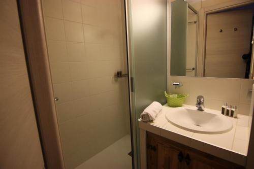 une salle de bain avec un lavabo et une douche dans l'établissement Résidence Altineige - ALTINEIGE STUDIO CABINE 25M² 4 PERS STYLE CHALET MAE-7682, à Val Thorens