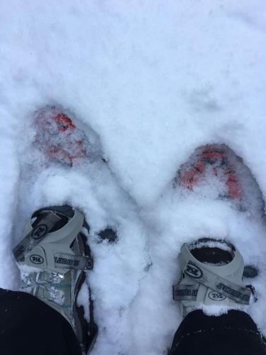 a person standing in the snow with their snow shoes at Suite Romantica Fuga in Roncone