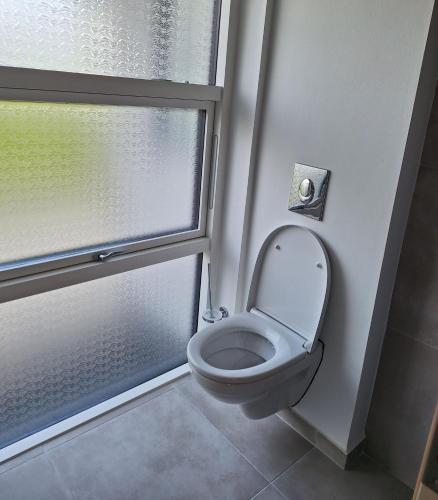 a bathroom with a toilet and a window at EngholmBB in Odense