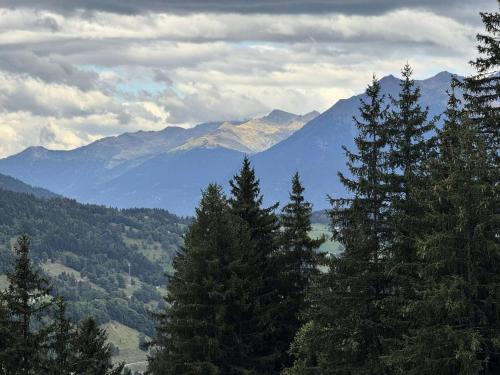 un groupe d'arbres avec des montagnes en arrière-plan dans l'établissement Résidence Gollet - Le Gollet 62 - Studio divisible MAE-5771, à Valmorel