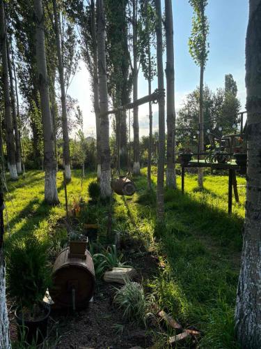 a garden with trees and plants in the grass at Zovaber hangsti goti in Sevan