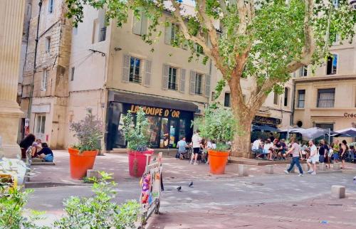 Avignon pedestrian area, charming, 3 persons photo 27