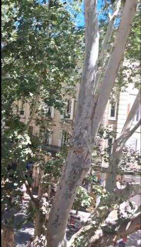 Avignon pedestrian area, charming, 3 persons photo 33
