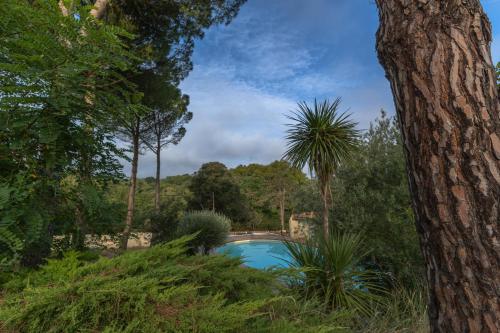 une piscine dans un jardin arboré dans l'établissement L'éden de Rosy proche de Carcassonne, à Alairac