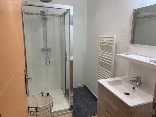 une salle de bain avec douche et lavabo dans l'établissement Centre ville rdc, à Charleville-Mézières