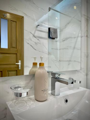 a bathroom with a sink with a bottle of soap at Blancris Boutique in Braşov