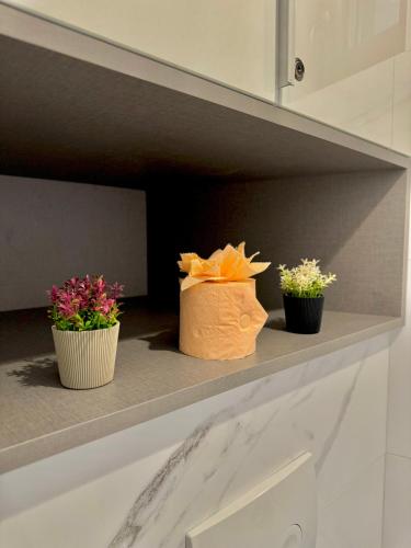 Tres macetas con flores en un estante en Blancris Boutique, en Brasov