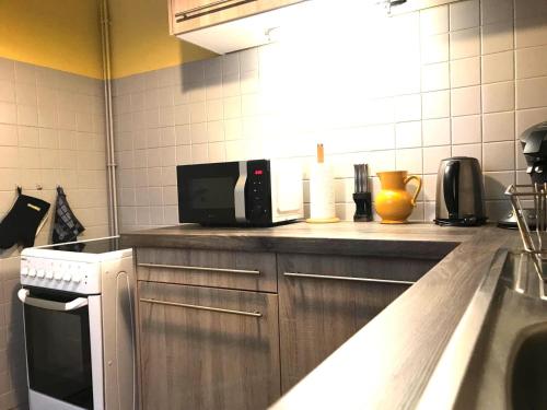 une cuisine avec un comptoir avec un micro-ondes dans l'établissement LE PONTILLARD - Hypercentre - Face à Opéra & Parc - Proche Thermes, à Vichy