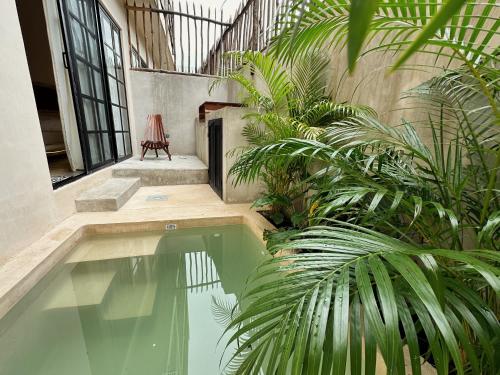 Πισίνα στο ή κοντά στο Casa Kobaab Tulum