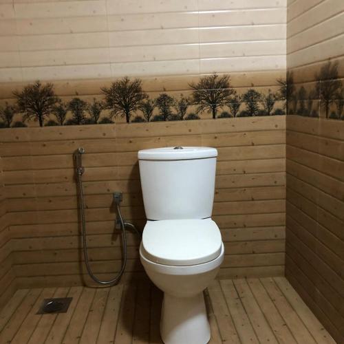 a bathroom with a toilet and a shower at Siri Villa Habaraduwa in Habaraduwa