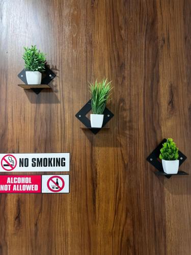 three potted plants on a wooden floor with no smoking signs at SAHARHOMEstay O3 in Mysore