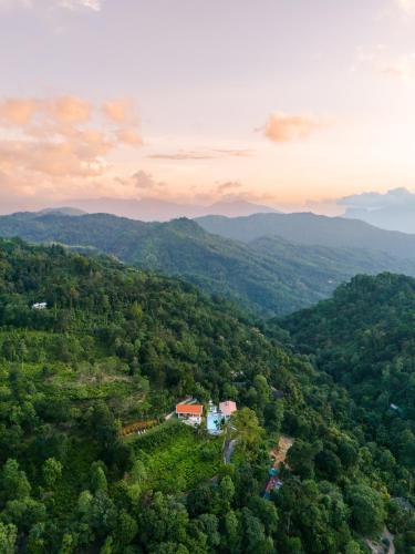 an aerial view of a house in the middle of a forest at Tea Heights and Spa in Kandy