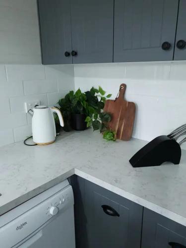 a kitchen counter top with a sink and a pot of plants at Ellson House - The Heart of the Hunter in Cessnock