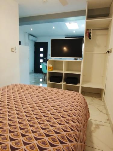 a bedroom with a bed and a flat screen tv at L'Hibiscus de Plaiz'Anse in Petite Île