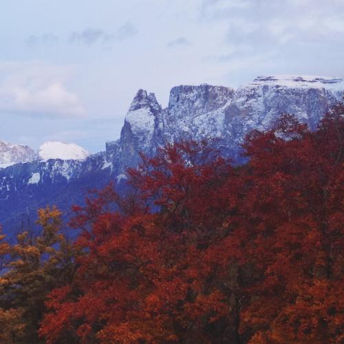 a view of the mountains and trees in the fall at Aschnerhof Auf´m Egg in Collalbo