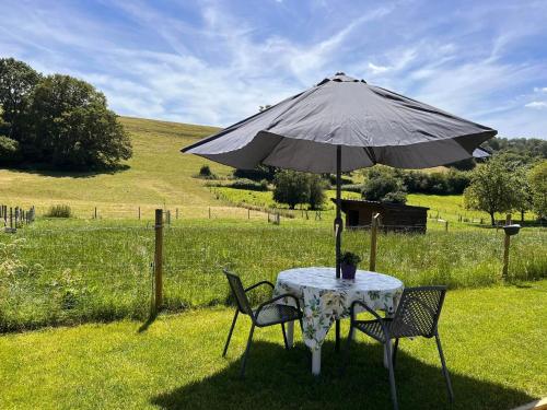 a table and chairs under an umbrella in a field at La Bricole in Dinant