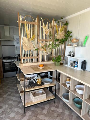 a kitchen with a table and chairs in a room at Halta Pescăruş Accommodation in Douăzeci şi Trei August