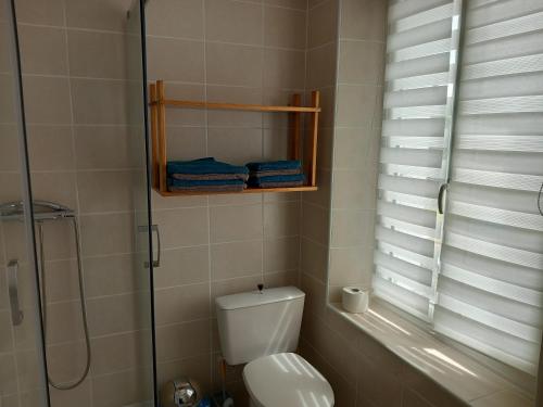 a bathroom with a toilet and a shower with a glass door at Mont saint michel normandie in Sainte-Cécile