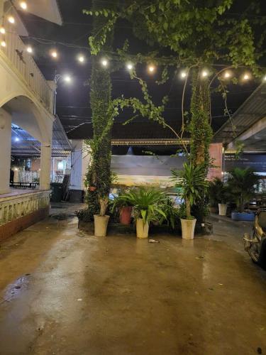 a room with a bunch of potted plants and lights at Monday in Phu Quoc