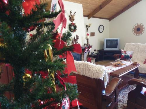 a living room with a christmas tree and a couch at Eni's Villa in Lezhë