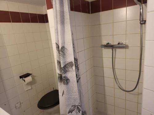 une salle de bain avec douche et toilettes dans l'établissement studio amande, proche gare, wifi, à Agen