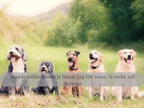 a group of four dogs sitting in a field at Lodge of Africa - einzigartige Themenzimmer, eingezäunten Garten, Sauna, Whirlpool & Kamin, Hunde willkommen, Gasgrill, voll ausgestattete Küche, großer Essbereich, Hamburg & Stade in der Nähe in Hollernstraße