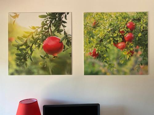 two pictures of a tree with red apples on it at Azienda Agrituristica Bergi in Castelbuono