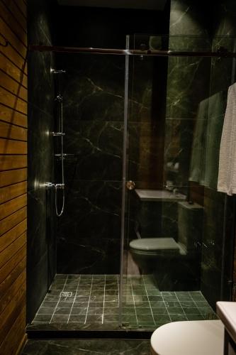 a bathroom with a shower with a toilet and a sink at Shamuk Homes in Chimgan